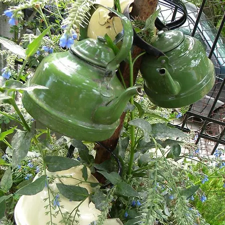 Dyadovata Kashta Pensionat Golden Sands